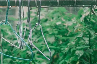 梅雨季節寶寶生活注意事項