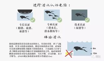 下級,表?yè)P,注意事項