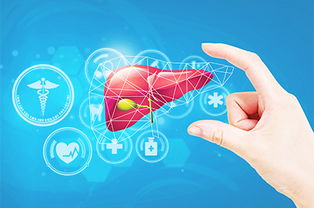 肝臟介入手術(shù)前注意事項,肝臟病病人手術(shù)前注意事項,肝臟手術(shù)麻醉注意事項