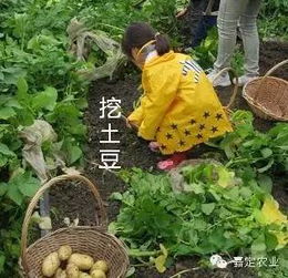 去采摘園注意事項