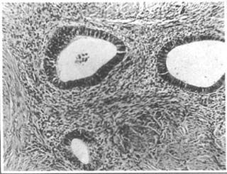 月經(jīng)注意事項詳細,月經(jīng)注意事項飲食禁忌,來(lái)月經(jīng)注意事項