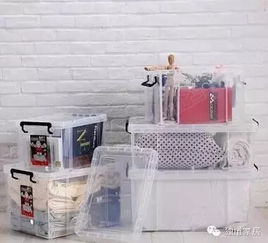 養魚(yú),收納,注意事項