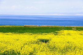 青海湖,注意事項