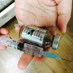 vline溶脂針和紅溶脂哪個(gè)好,韓國vline溶脂針,vline溶脂針價(jià)格