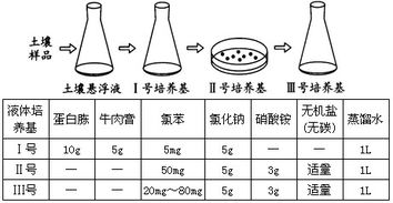 培養基,平板,注意事項,制作