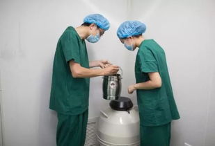 移植,注意事項,動(dòng)胚前