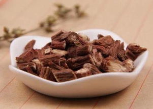 丹參泡水喝注意事項