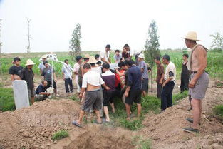 送死人下葬注意事項,老人下葬注意事項,骨灰盒下葬流程及注意事項