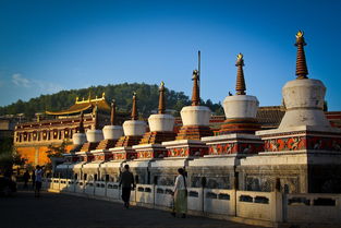 塔爾寺,注意事項,旅游