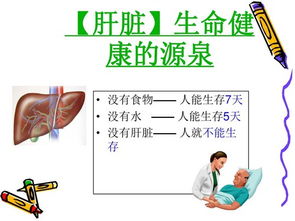 肝膽排毒后的注意事項