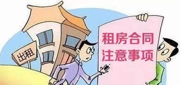 給別人,注意事項,租房