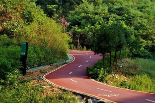 北蔡森林公園規劃,亞龍灣熱帶天堂森林公園注意事項,森林公園春游時(shí)的注意事項