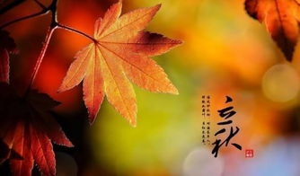 立秋需要注意事項