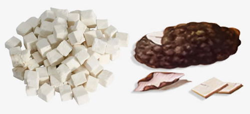 杜仲的用量用法及注意事項介紹