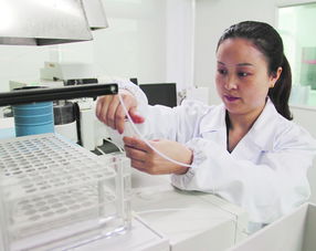 原子熒光測砷注意事項,原子熒光測銻注意事項,原子熒光測鉛注意事項