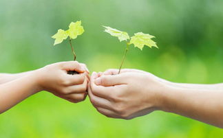 留置導尿術(shù)的注意事項,男性導尿術(shù)的注意事項,導尿術(shù)操作步驟及注意事項