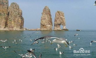 長(cháng)島,釣魚(yú),注意事項