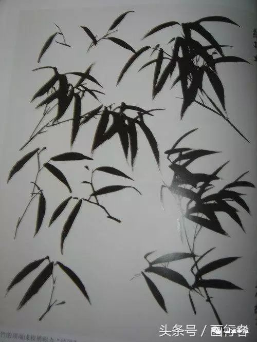 水墨畫(huà)竹子的畫(huà)法及注意事項