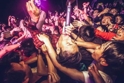 搖滾現場(chǎng)注意事項