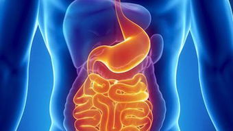 闌尾手術(shù)拆完線(xiàn)注意事項