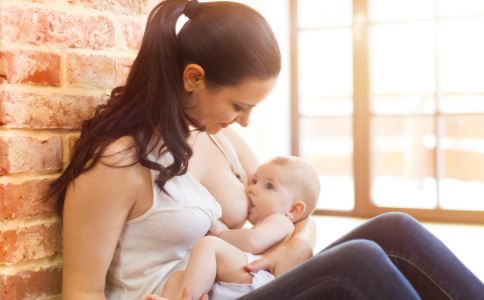 兔子喂養注意事項,小鴨子喂養注意事項,泰迪幼犬喂養注意事項