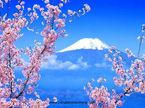 日本人賞花注意事項