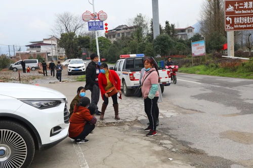 交警,注意事項,事故