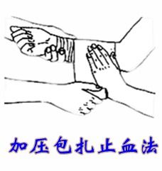 加壓包扎止血法注意事項,加壓包扎止血法注意事項包括,包扎止血法的注意事項