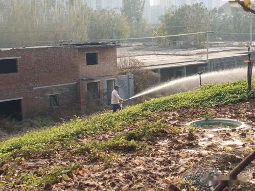 清潔灌溉的注意事項,園林植物灌溉常用方法,灌溉注意事項有哪些