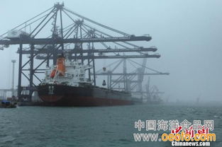 停航,船舶,注意事項