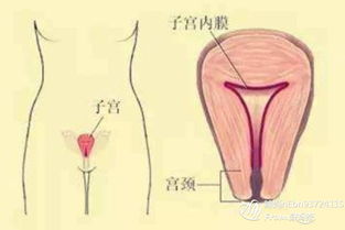 懷孕一個(gè)月藥物流產(chǎn)后注意事項,懷孕5周藥物流產(chǎn)注意事項,懷孕7周藥物流產(chǎn)需要注意事項