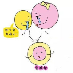 精子著(zhù)床期間注意事項