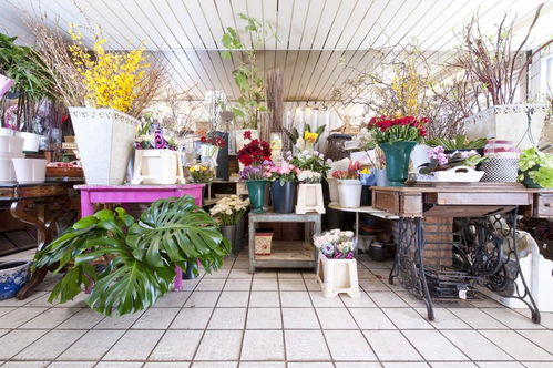 經(jīng)營(yíng)花店選址有哪些注意事項