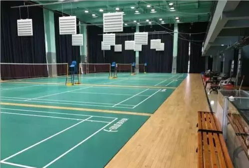 打乒乓球的注意事項,乒乓球發(fā)球注意事項,乒乓球室注意事項