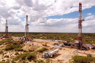 油田冬季安全生產(chǎn)注意事項,烏龜加溫注意事項,血液加溫的注意事項