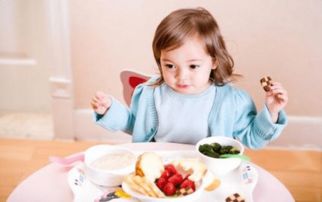 棉花娃娃注意事項,硅膠娃娃注意事項,bjd娃娃注意事項