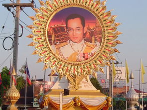 團隊出去旅游注意事項,團隊旅游安全注意事項,團隊旅游注意事項有哪些