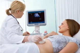 懷孕初期體檢注意事項