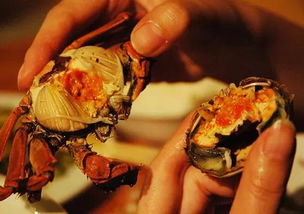 史克腸蟲(chóng)清的吃法和注意事項,松茸吃法及注意事項,藏紅花吃法和注意事項