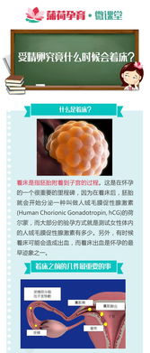 著(zhù)床當天注意事項