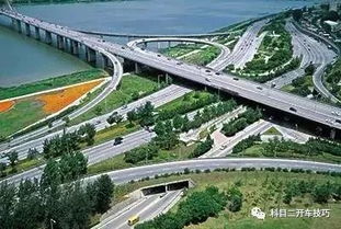 美國路考轉彎注意事項