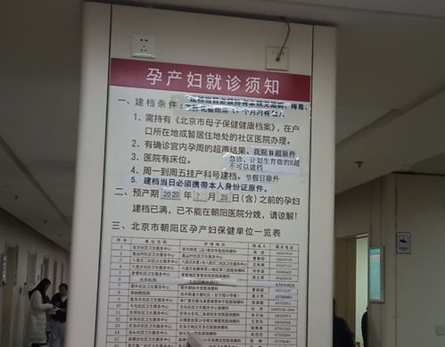 孕婦建檔注意事項