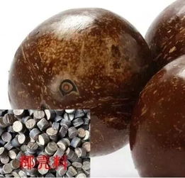 椰蒂盤(pán)玩注意事項,椰蒂有什么注意事項,和田玉把玩注意事項