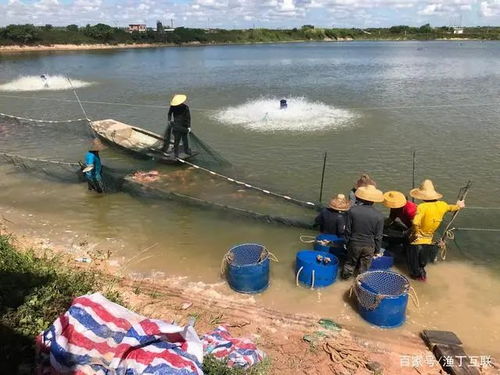食鹽運輸注意事項