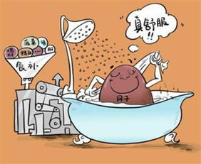 肝膽排毒后的注意事項和飲食,肝膽排毒后的注意事項和飲食課件,做了肝膽排毒后注意事項