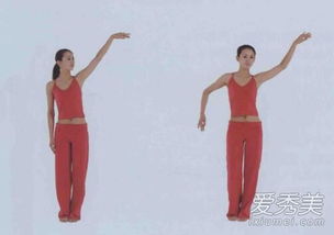 要領(lǐng),注意事項,肚皮舞