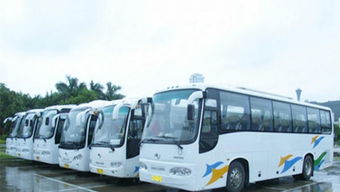 麗江跟團旅游注意事項,老年人跟團旅游注意事項,乘坐旅游大巴注意事項