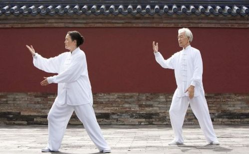 扎馬步的注意事項,蹲馬步注意事項,四平馬步注意事項