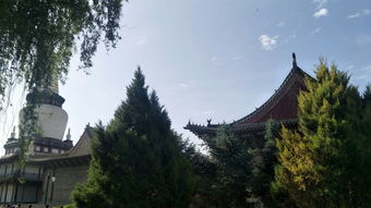 旅游的注意事項,旅游安全注意事項,旅游注意事項須知