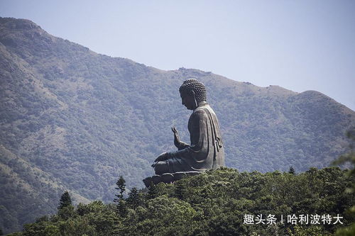 墳山,有什么,注意事項